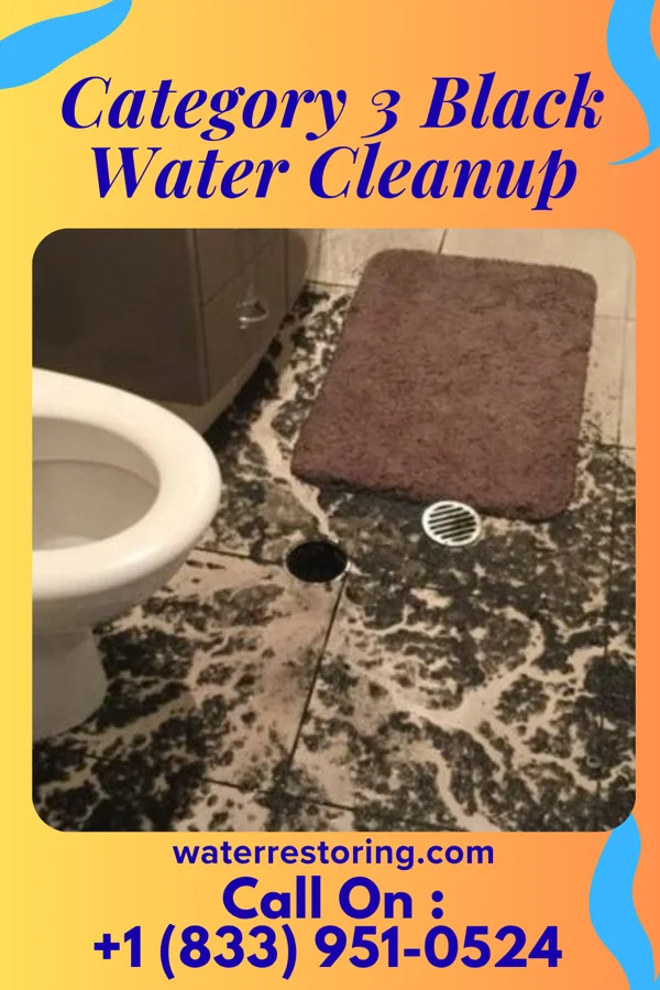 Category 3 Black Water Cleanup in Republic, OH