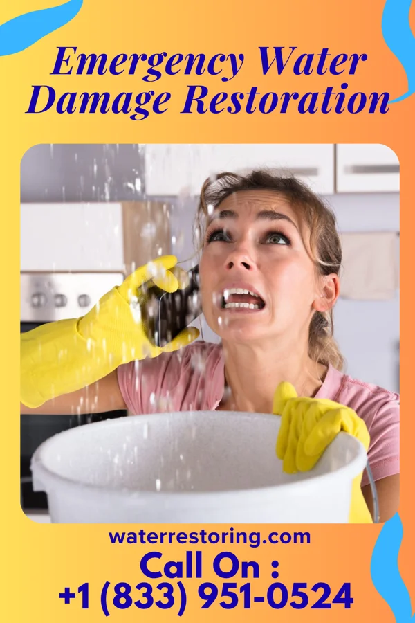 Emergency Water Damage Restoration in Republic, OH