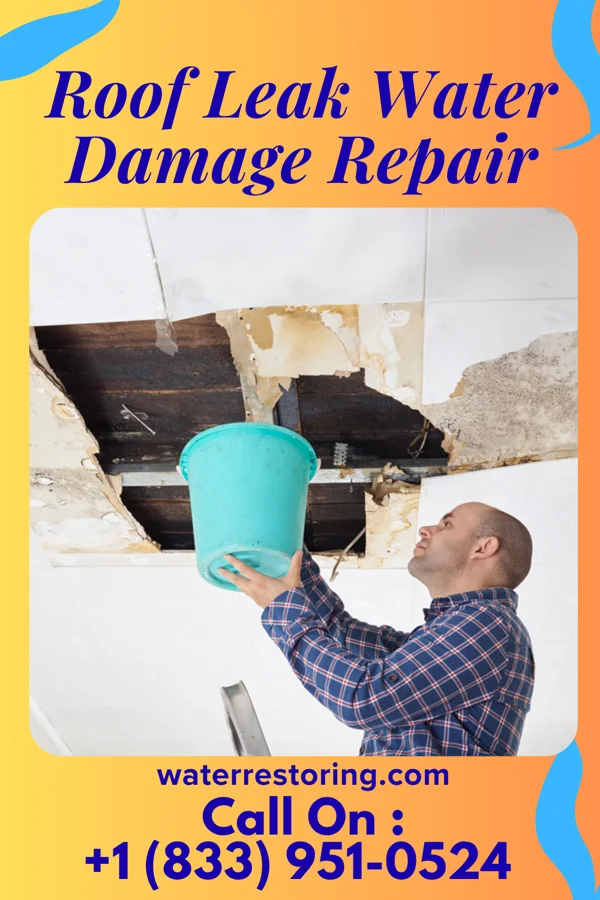 Roof Leak Water Damage Repair in Republic, OH