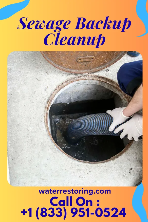 Sewage Backup Cleanup in Republic, OH